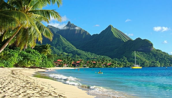 Dominica Citizenship by Investment Requirements in 2025