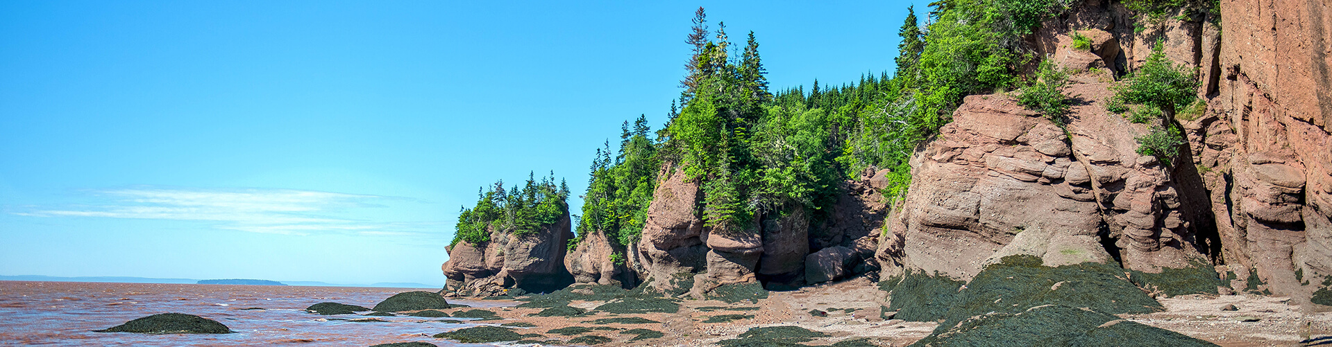 Hopewell New Brunswick