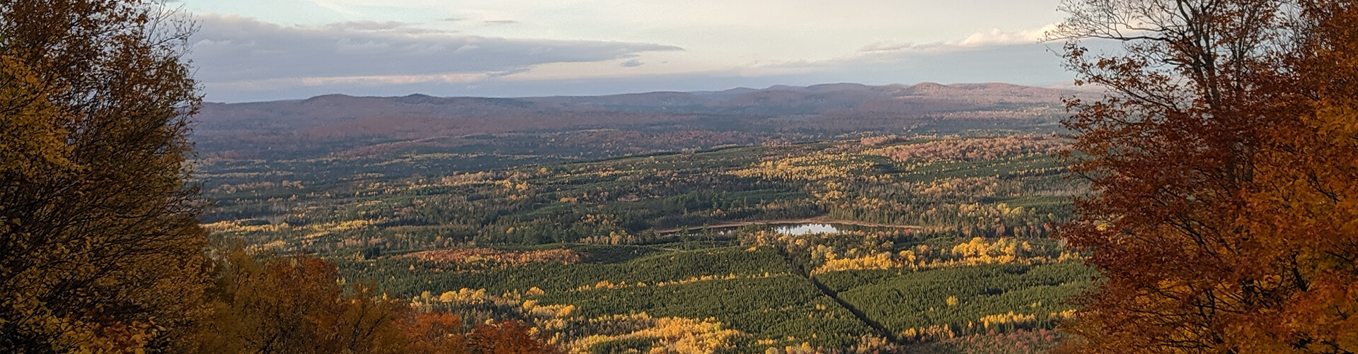 New Brunswick Mountain View