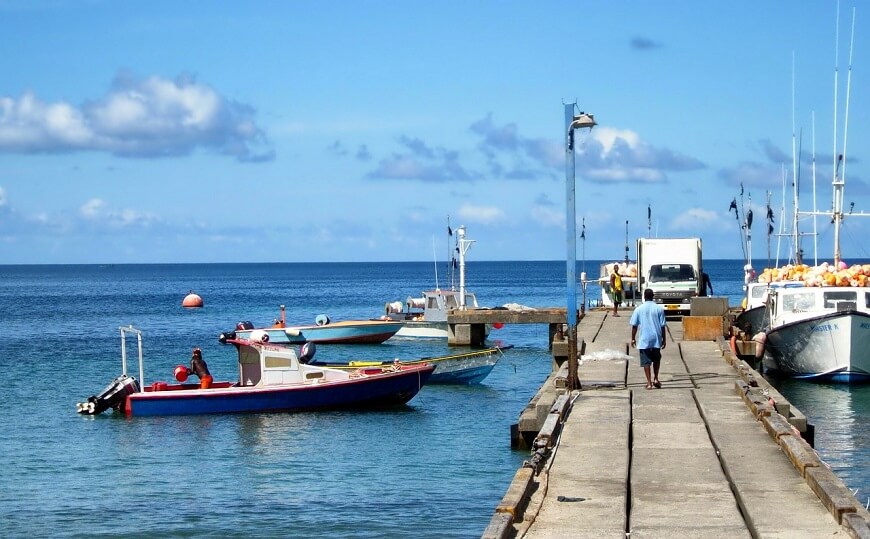 What are the benefits of Grenada Citizenship through Investment Programme