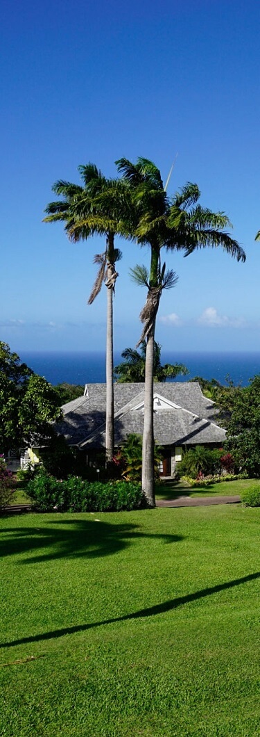 St.Kitts Citizenship by Real Estate Investment