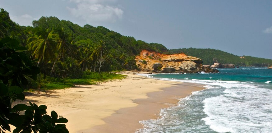 Dominica passport application process