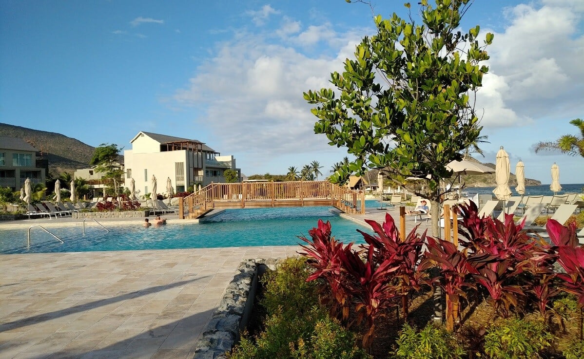 feature image